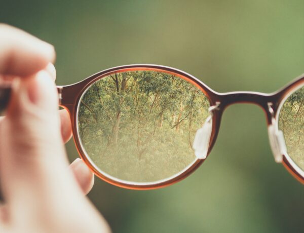 una mano regge un paio di occhiali: nella lente si riflettono gli alberi