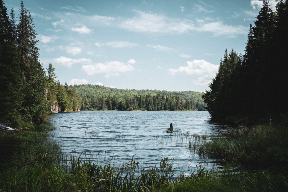 un lago circondato da una fitta foresta di alberi, in quebec